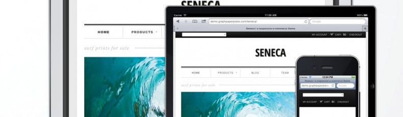 Meet Seneca: Our First E-Commerce Enabled Theme