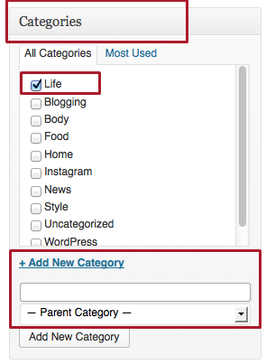 Categories on the Post edit page