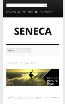 Seneca responsive wordpress theme