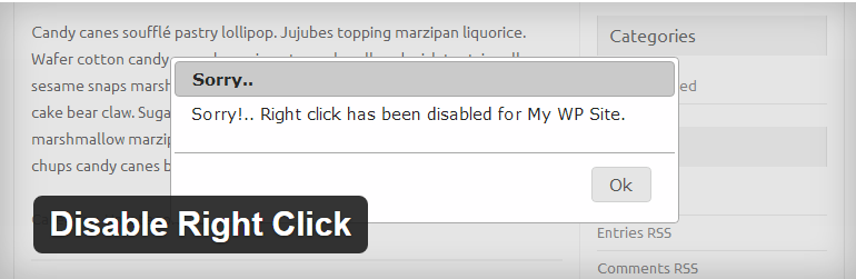 Disable Right Click Plugin