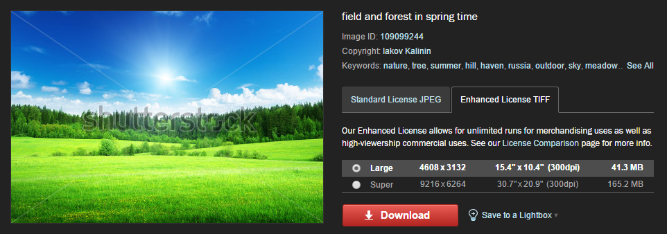 Viewing Shutterstock's image licensing options.