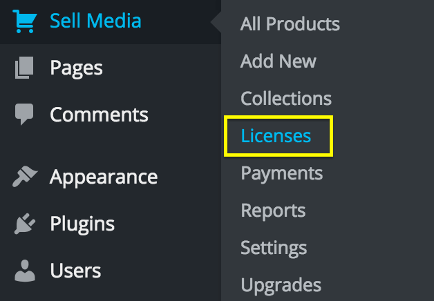 The License tab, highlighted in the WordPress dashboard.