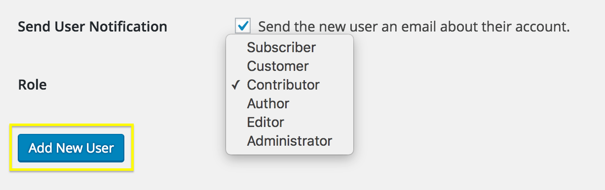 The User Role drop-down.