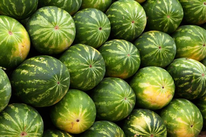 A group of watermelons.
