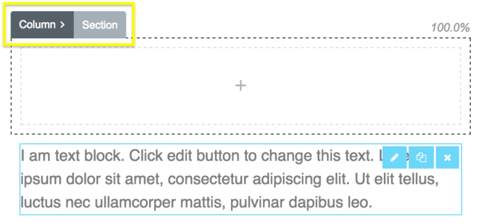 The Column and Section customization tabs.