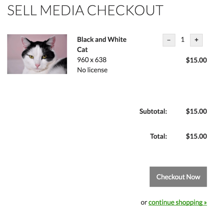 The Sell Media Checkout page.