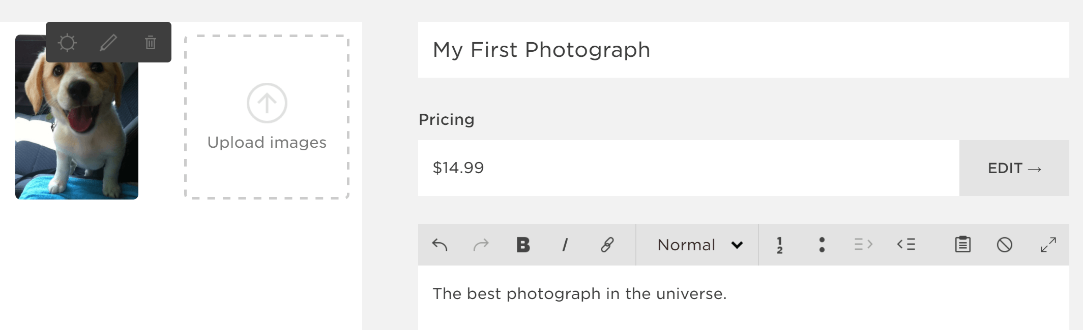The basic options for a Squarespace product.