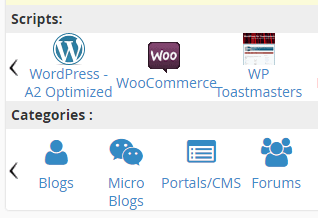 The option to install WordPress through the cPanel.
