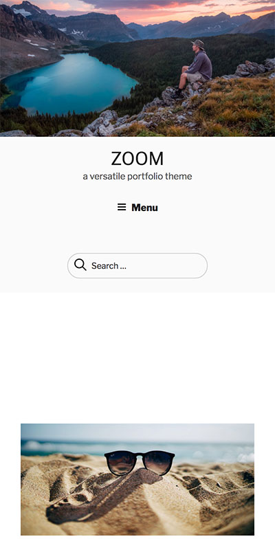 Zoom responsive wordpress theme