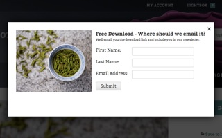 Grow Your Mailing List by Offering Free Downloads